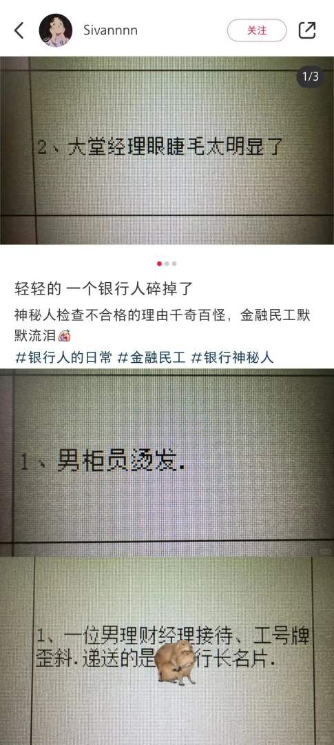 Word文档图片